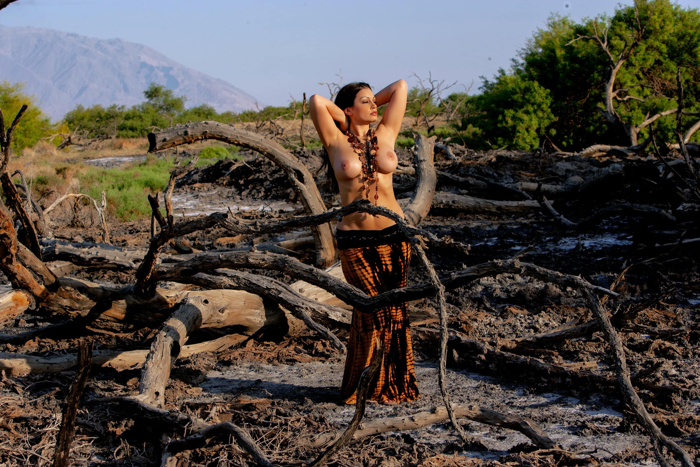 Aria Giovanni reveals her big breasts and trimmed pussy in the outdoors